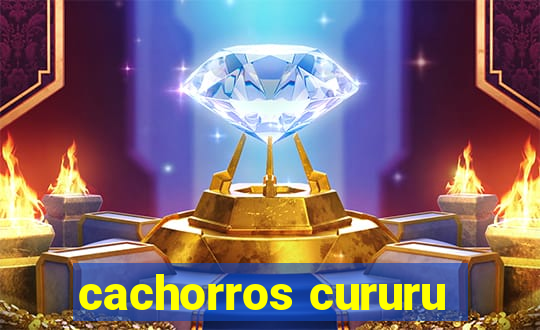 cachorros cururu